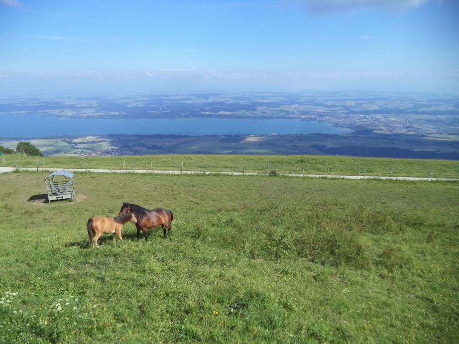 view at Lake of Neuchâtel and Yverdon