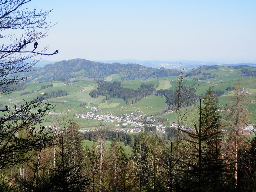 Blick vom Hochhamm, 1275m